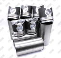 Поршневая группа WEICHAI WD10 61500010344,612600030015